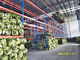 Cold Rolling Steel Industrial Pallet Racking Systems For Materials Handling